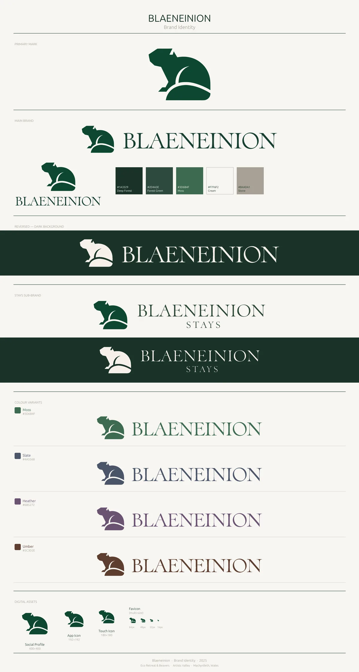 The Blaeneinion brand board: the mark, clear space, palette, type and lockups on one sheet
