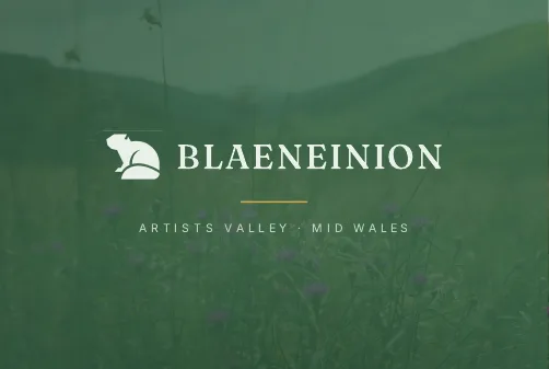 Blaeneinion business cards