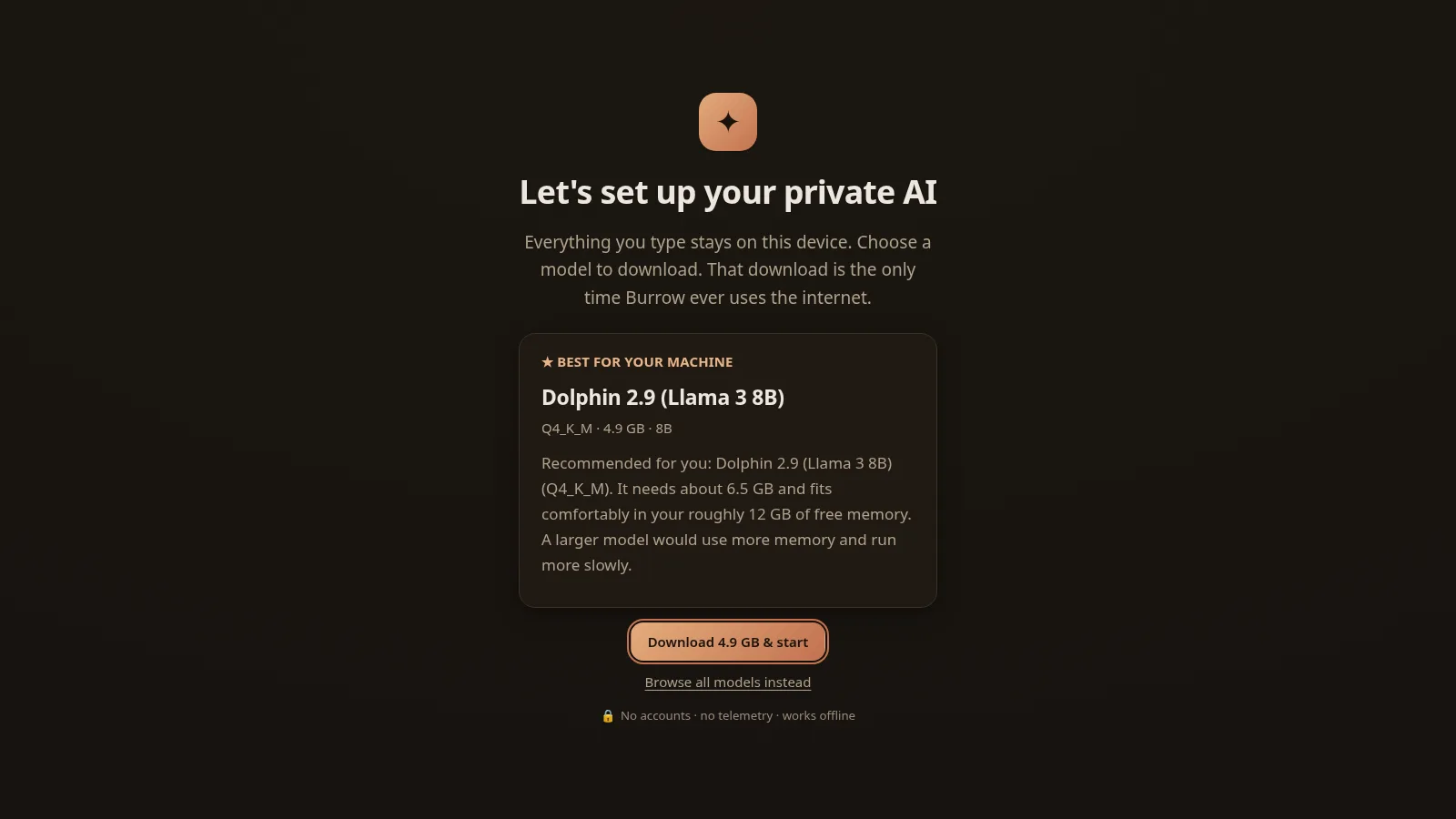 The Burrow private AI chat running fully offline